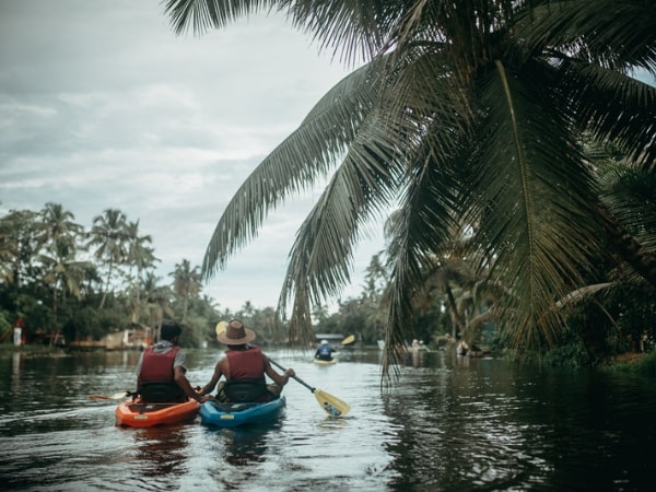 Guests kayaking on Alleppey's palm-lined backwaters